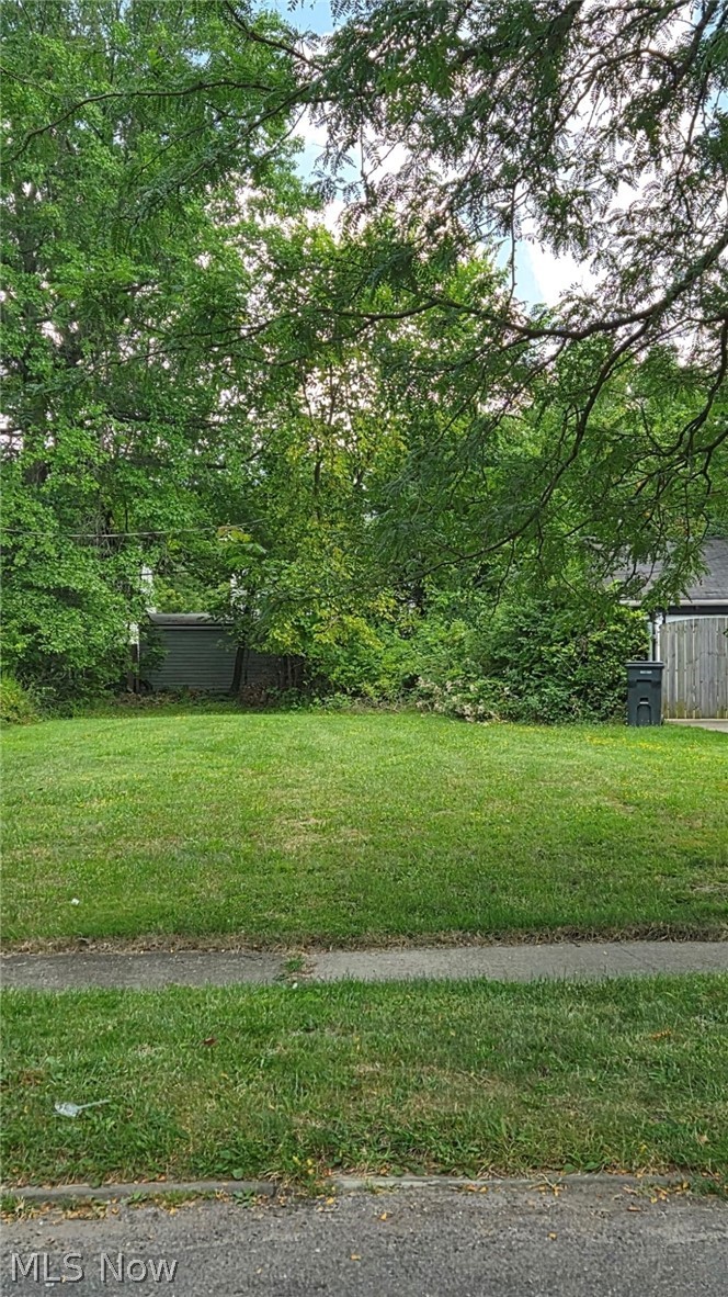 907 Nela View Road Cleveland Heights, OH 44112 - Photo 1 of 3 View of lot