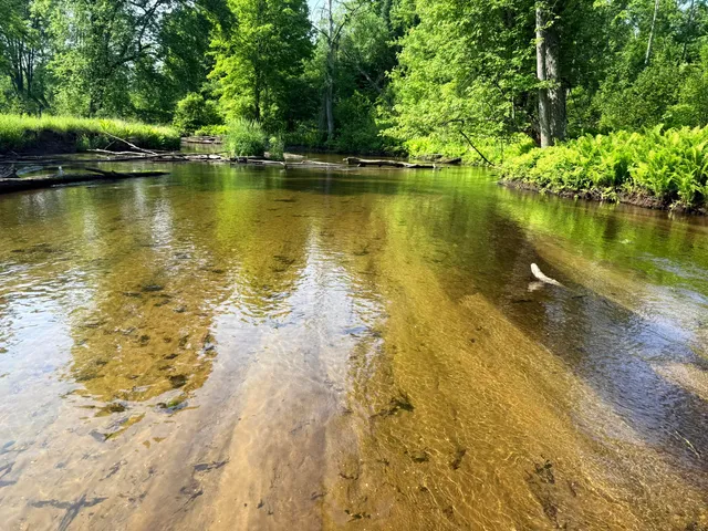 $135,000 | 17639 North 20th Avenue, Marion, MI 49665