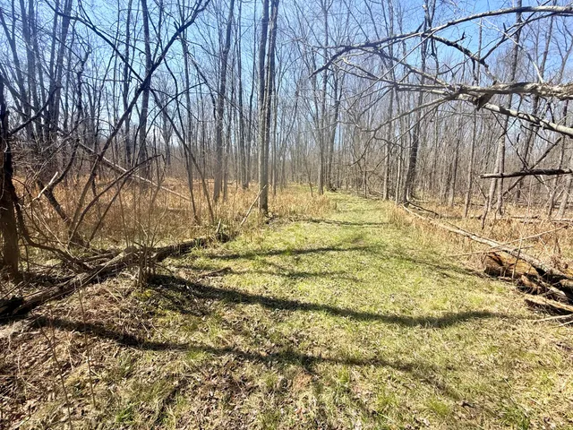 $135,000 | 17639 North 20th Avenue, Marion, MI 49665