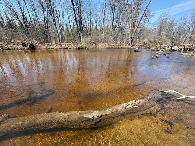 $135,000 | 17639 North 20th Avenue, Marion, MI 49665