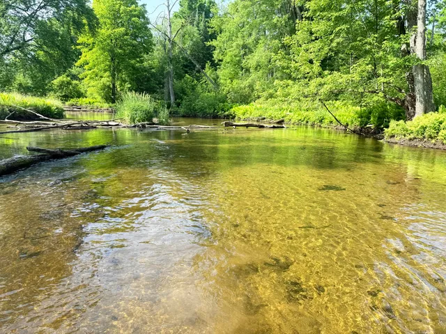 $135,000 | 17639 North 20th Avenue, Marion, MI 49665