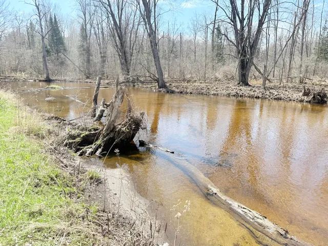 $135,000 | 17639 North 20th Avenue, Marion, MI 49665