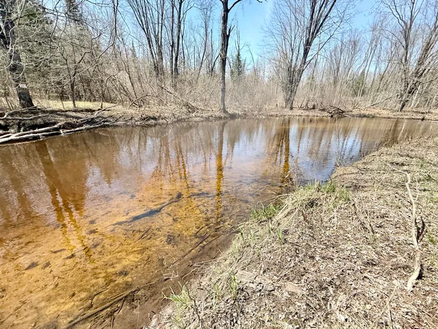 $135,000 | 17639 North 20th Avenue, Marion, MI 49665