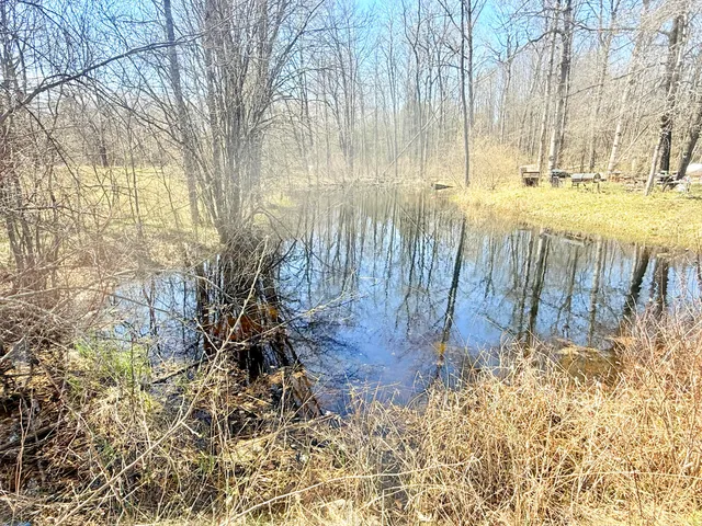 $135,000 | 17639 North 20th Avenue, Marion, MI 49665