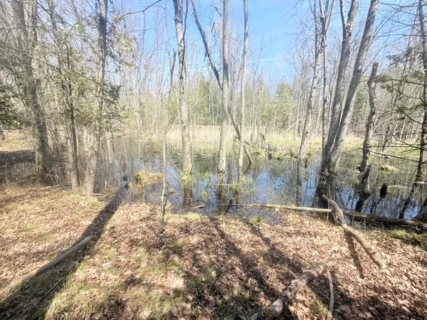 $135,000 | 17639 North 20th Avenue, Marion, MI 49665