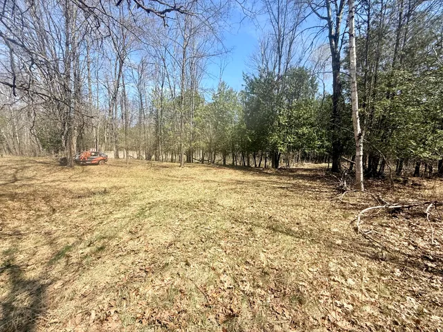 $135,000 | 17639 North 20th Avenue, Marion, MI 49665