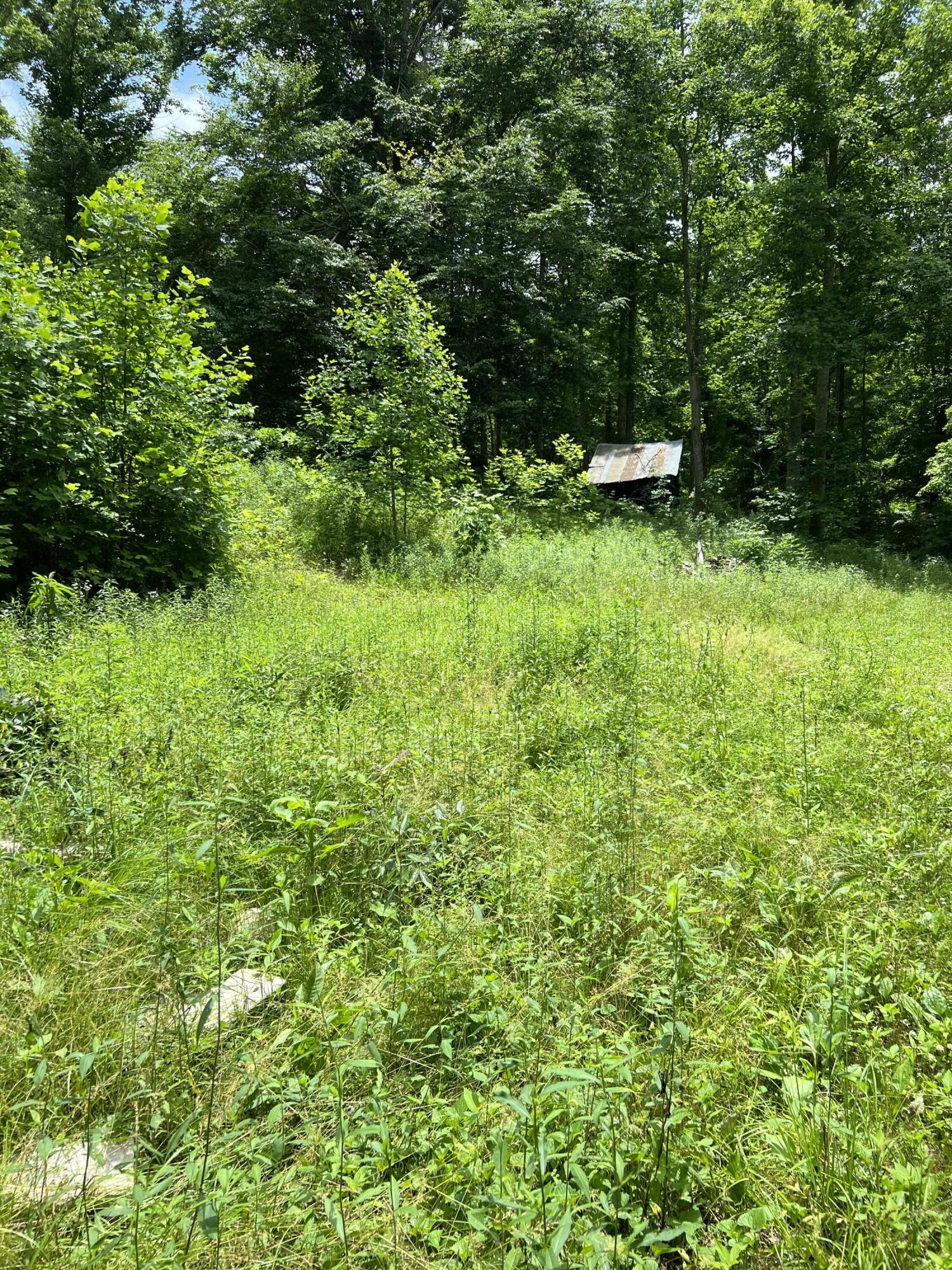 393 Amos Baker Road McKee, KY 40447 - Photo 4 of 5 E6341D38-DCE6-48BE-864C-51165EFF3737