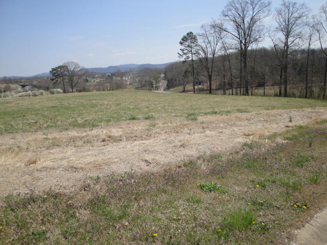 Lot 42 Chippewa Lane Rutledge, TN 37861 - Photo 2 of 2 Lot 42