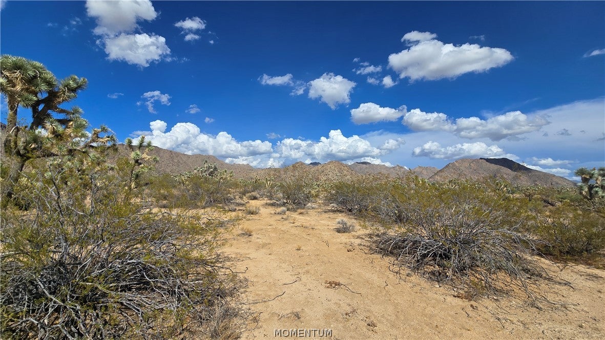208-27-196d South Kinard Road Yucca, AZ 86438 - Photo 12 of 29 Gallery Image 12