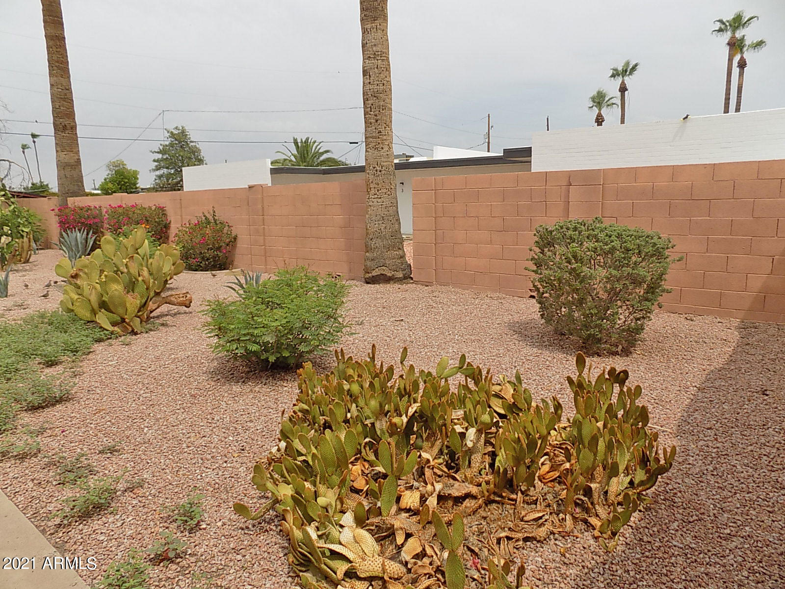 1712 East Ocotillo Road, Unit F Phoenix, AZ 85016 - Photo 4 of 5 Courtyard NW