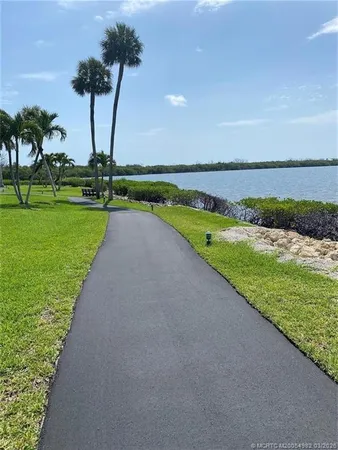 a view of a park with palm trees