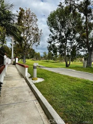 a view of park with large trees