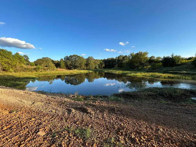 $136,215 | Lot 3 Pr 4552 Mount, Mount Pleasant, TX 75455