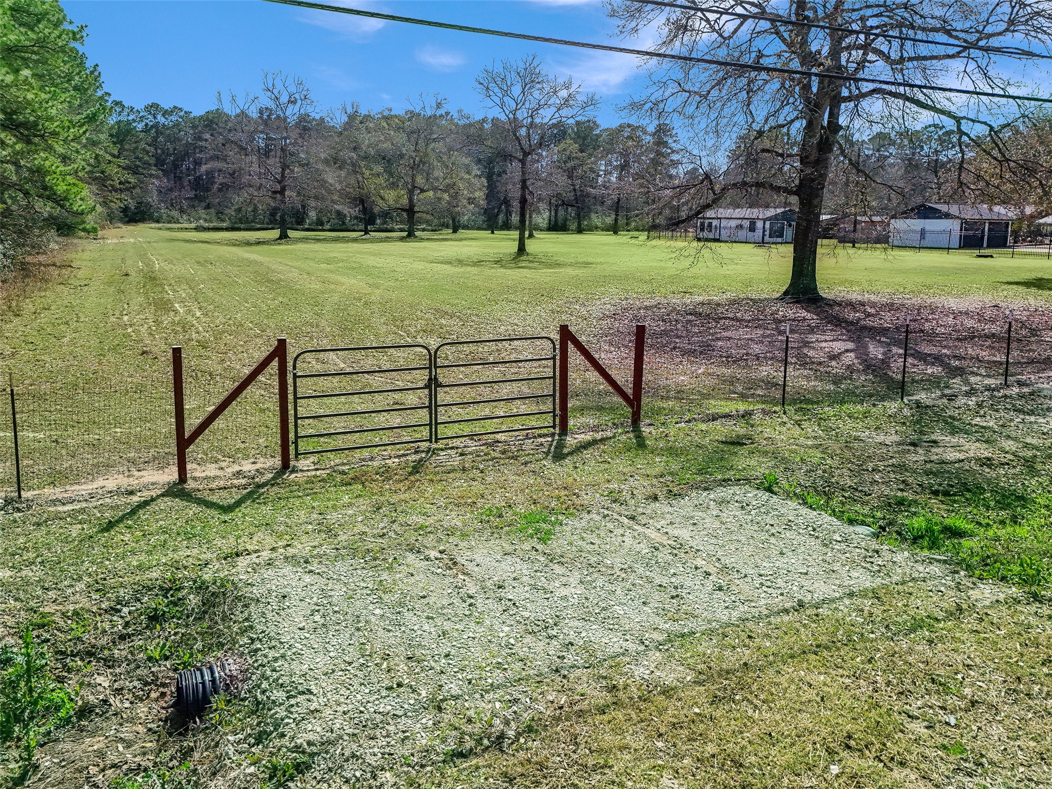 12998 Rocky Road Conroe, TX 77306 - Photo 12 of 50 a view of a garden with a bench in the park