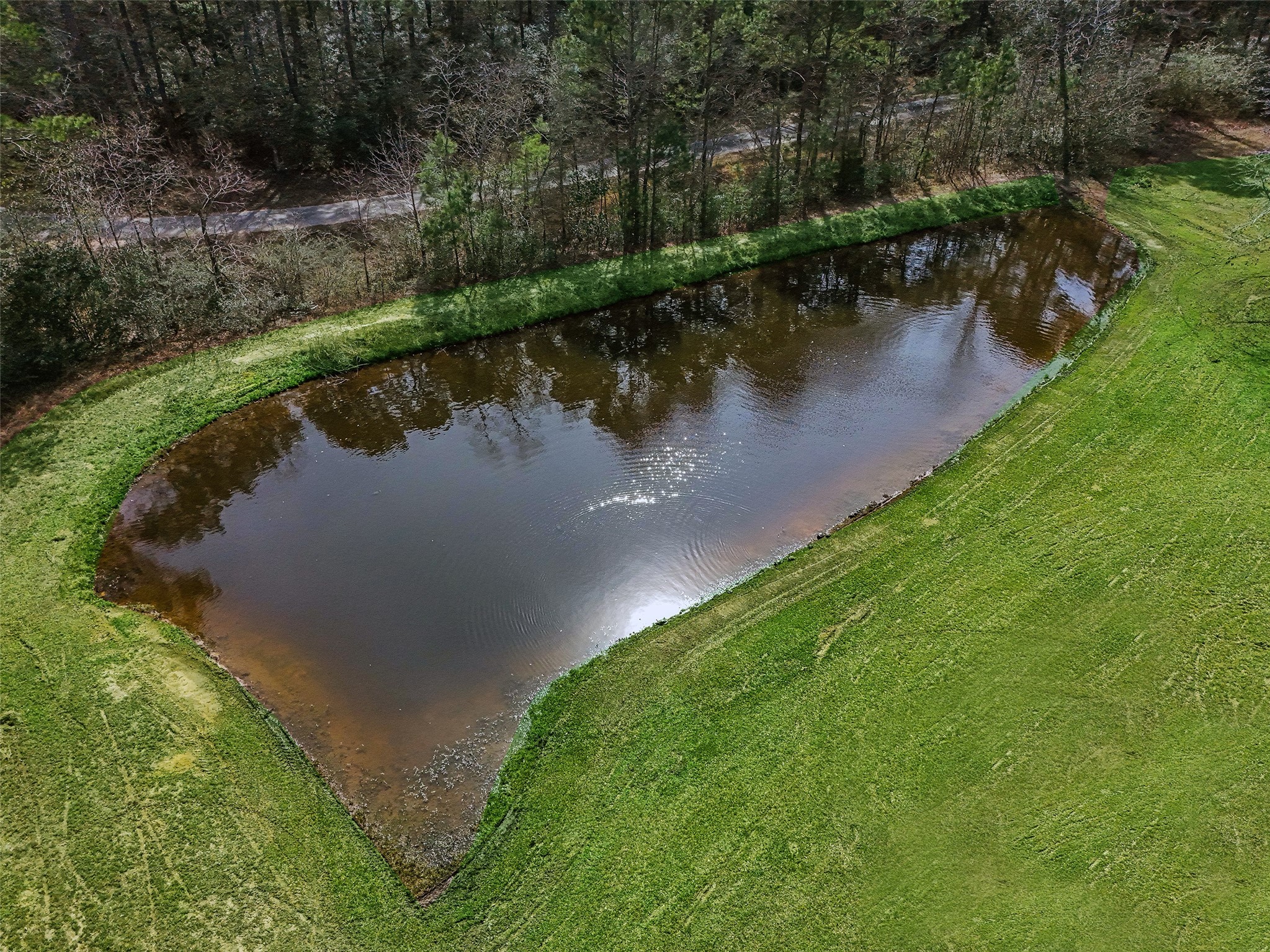12998 Rocky Road Conroe, TX 77306 - Photo 13 of 50 a view of a lake with a yard and large trees