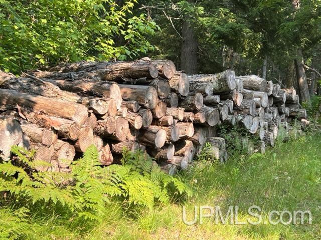 26347 Bootjack Road Lake Linden, MI 49945 - Photo 25 of 58