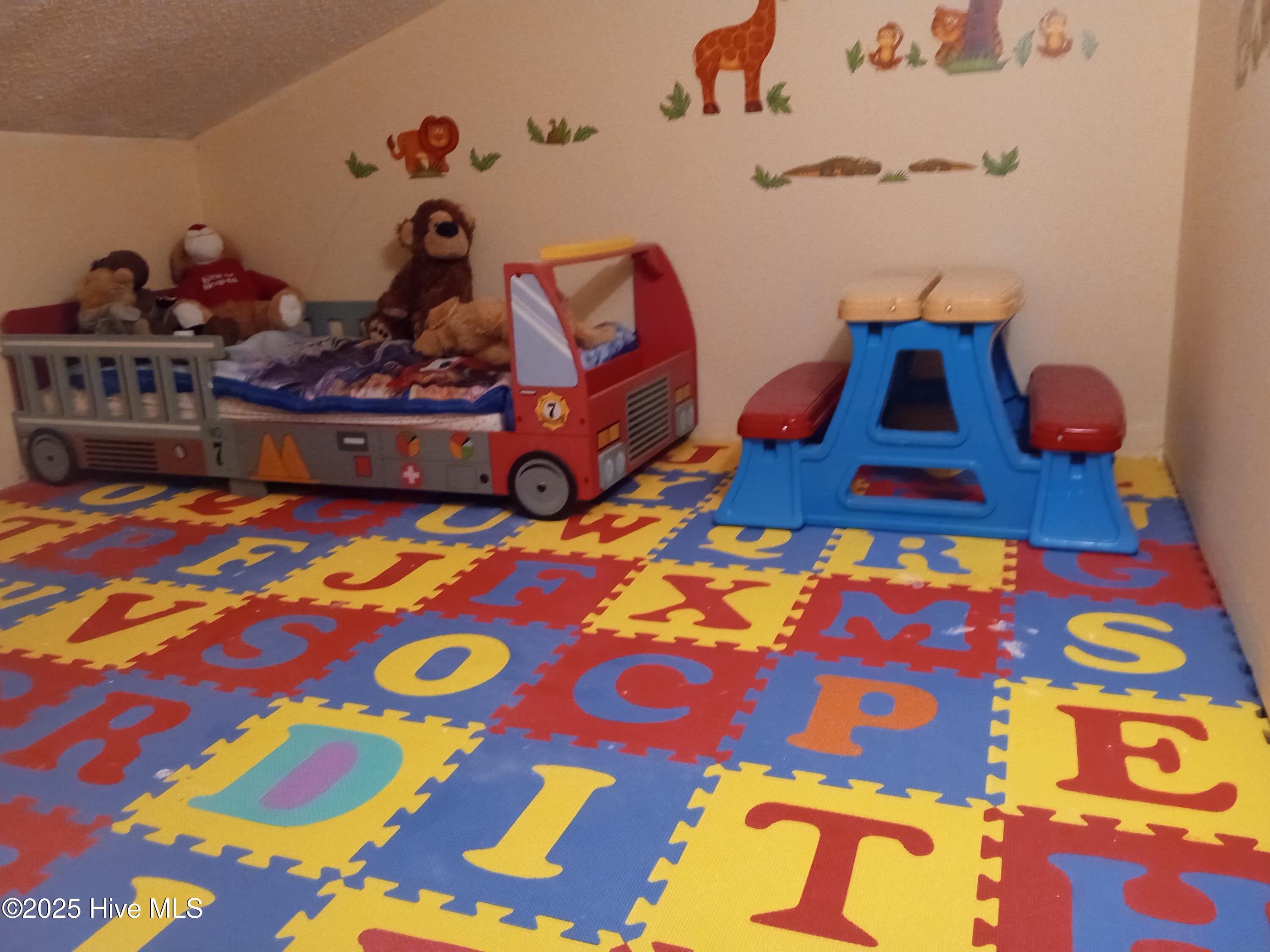 2391 Bill Hooks Road Whiteville, NC 28472 - Photo 33 of 39 2nd children's playroom on the top floor