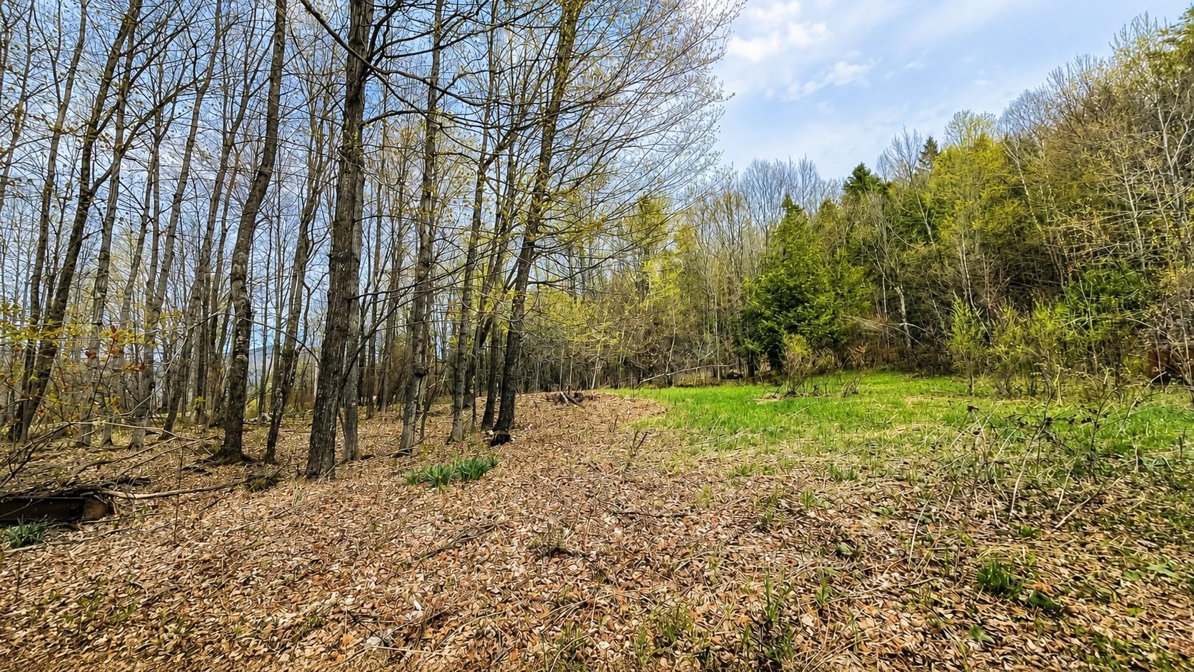 15 Daniels Road West Irasburg, VT 05845 - Photo 6 of 46