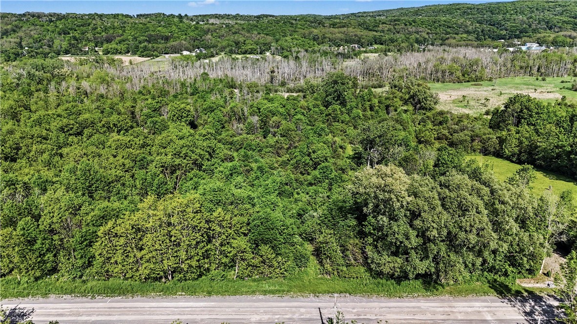 Case Road Canandaigua, NY 14424 - Photo 12 of 12