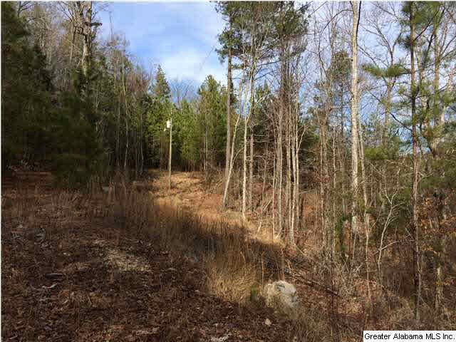 734 Valley Grove Road, Unit 15 4 ACR Remlap, AL 35133 - Photo 20 of 32
