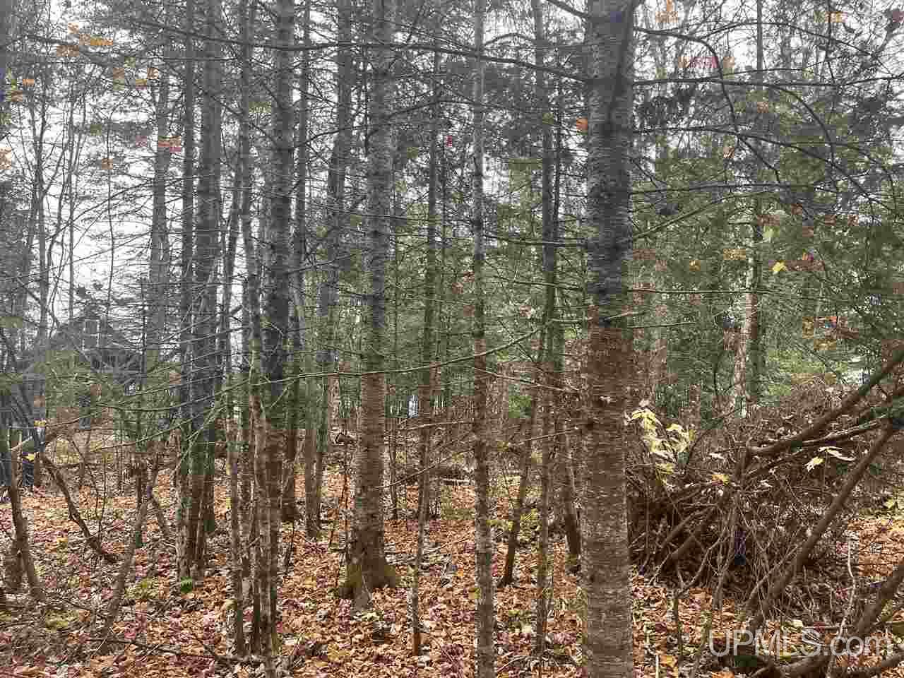 Tbd North Little Traverse Road Lake Linden, MI 49945 - Photo 16 of 17