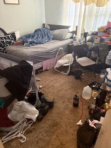 235 East Madison Street Paris, IL 61944 - Photo 3 of 9