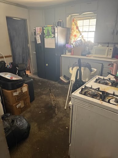 235 East Madison Street Paris, IL 61944 - Photo 8 of 9