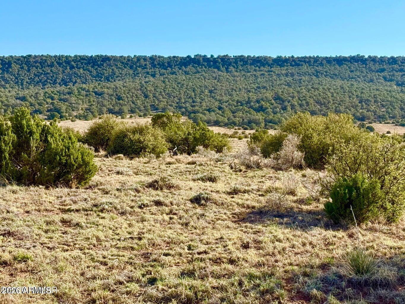 85 Co Road Concho, AZ 85924 - Photo 3 of 24 a view of lake view and mountain