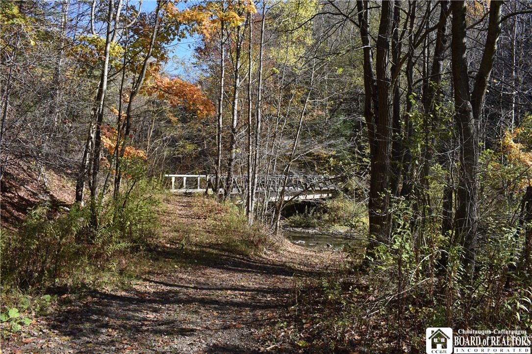 3157 Ball Road Arkwright, NY 14063 - Photo 28 of 28