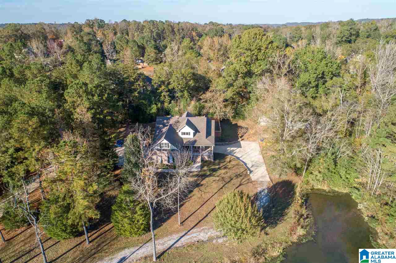300 Eaglewood Farms Road Alabaster, AL 35114 - Photo 42 of 49 Gallery Image 42