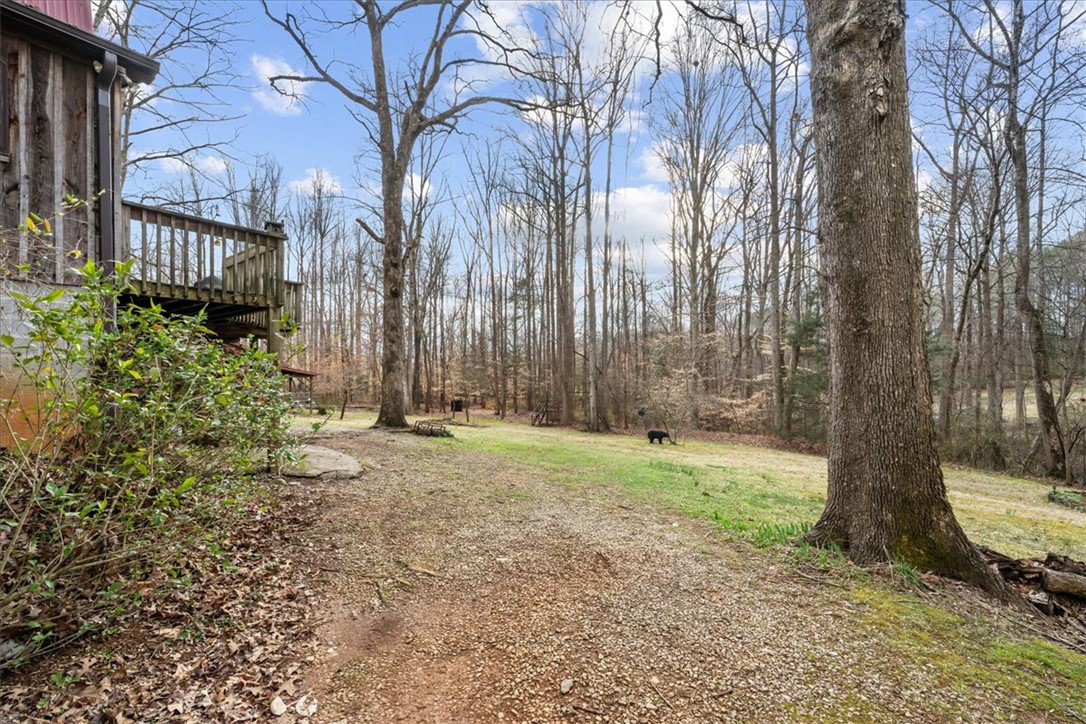 135 Stalling Ridge Road Pickens, SC 29671 - Photo 30 of 49