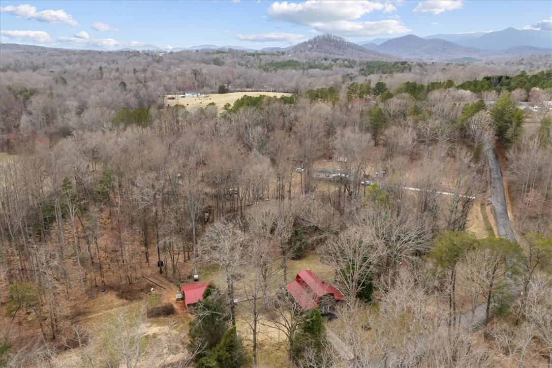 135 Stalling Ridge Road Pickens, SC 29671 - Photo 43 of 49