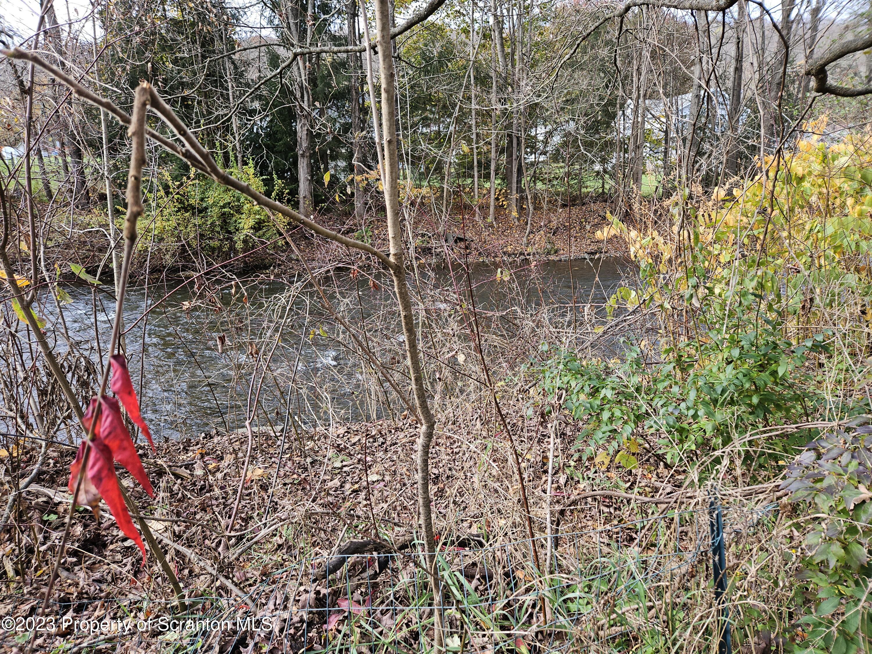 65 South Center Street Hop Bottom, PA 18824 - Photo 11 of 28 a backyard of a house with lots of green space