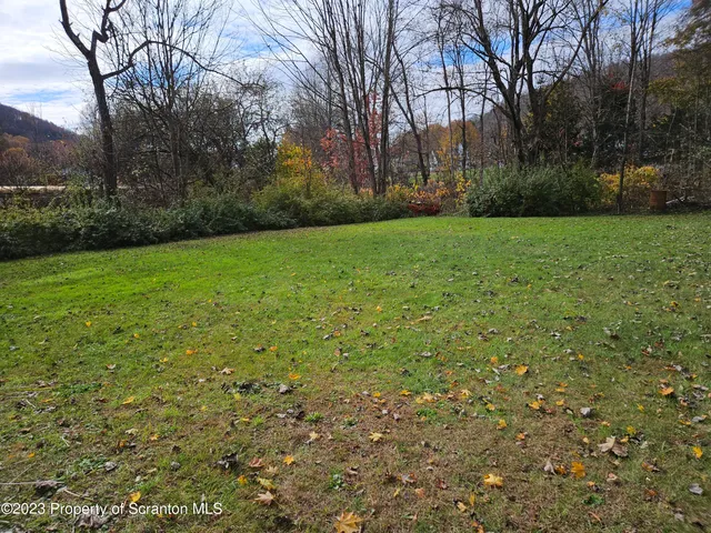 a view of a backyard with large trees