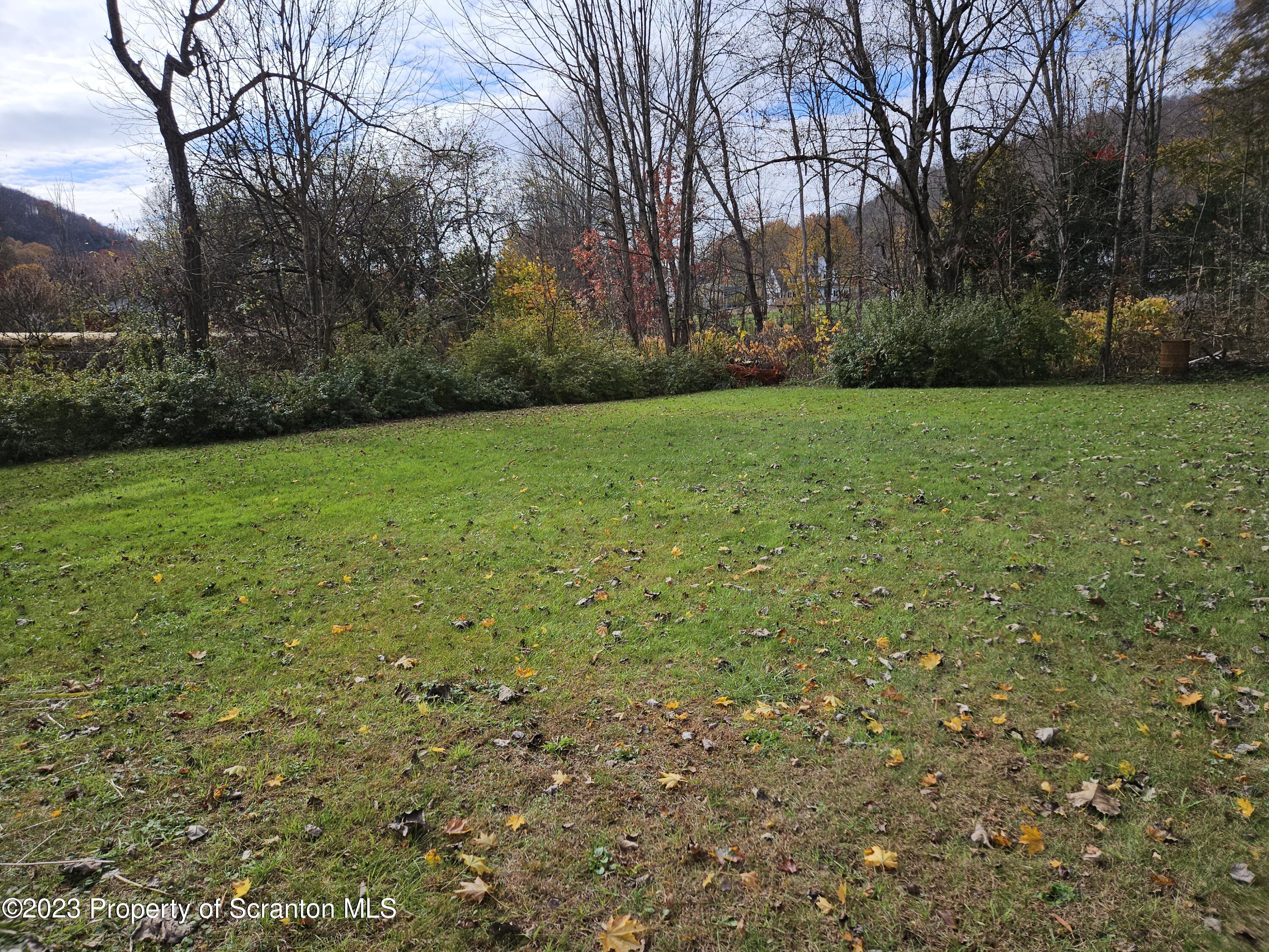 65 South Center Street Hop Bottom, PA 18824 - Photo 8 of 28 a view of a field with large trees