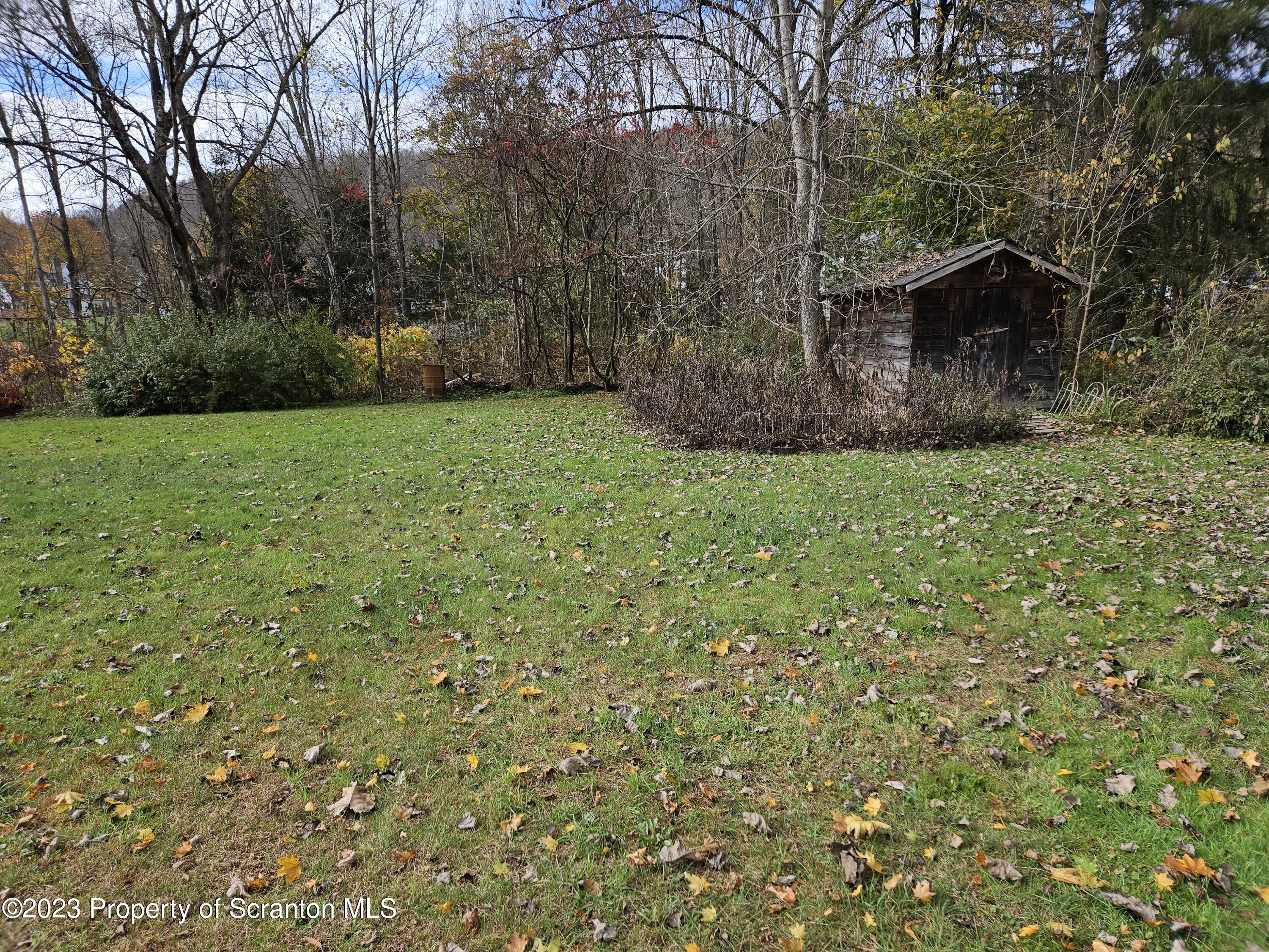 65 South Center Street Hop Bottom, PA 18824 - Photo 9 of 28 a view of a backyard with large trees