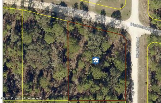 0 Malden Road Brooksville, FL 34614 - Photo 3 of 4