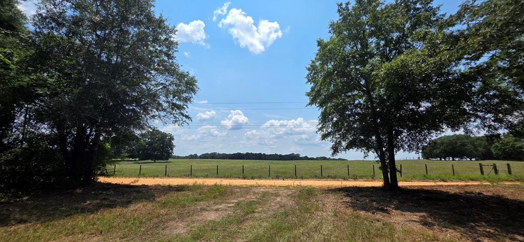 3.14-acres Corbin Road Newton, AL 36352 - Photo 12 of 31 Gallery Image 12