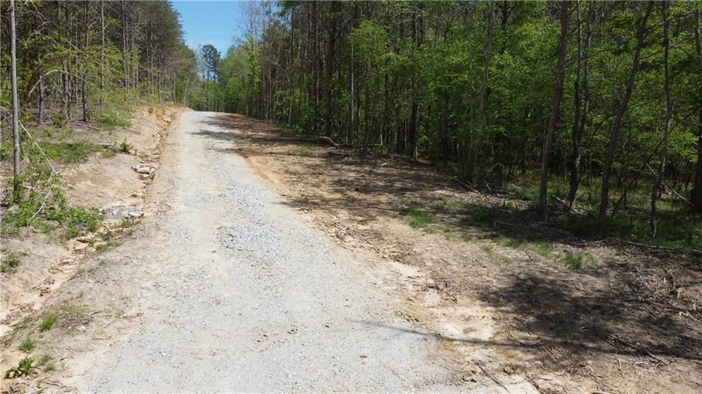 Amelia Springs Road Jetersville, VA 23083 - Photo 11 of 16 Gallery Image 11