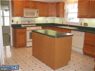 499 Martins Road Sinking Spring, PA 19608 - Photo 7 of 12 Kitchen