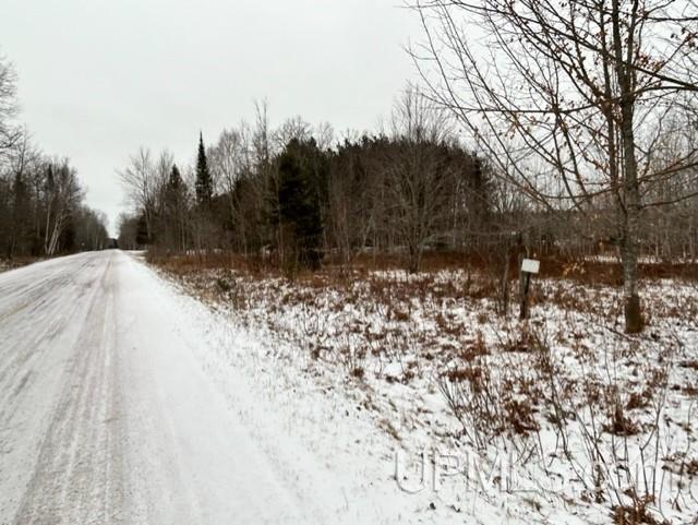 Tbd5 Larson Road Atlantic Mine, MI 49905 - Photo 43 of 56 Gallery Image 43