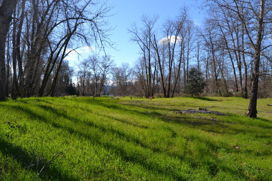 Lot 3 Gerald Place Grants Pass, OR 97527 - Photo 8 of 14 DSC_0419