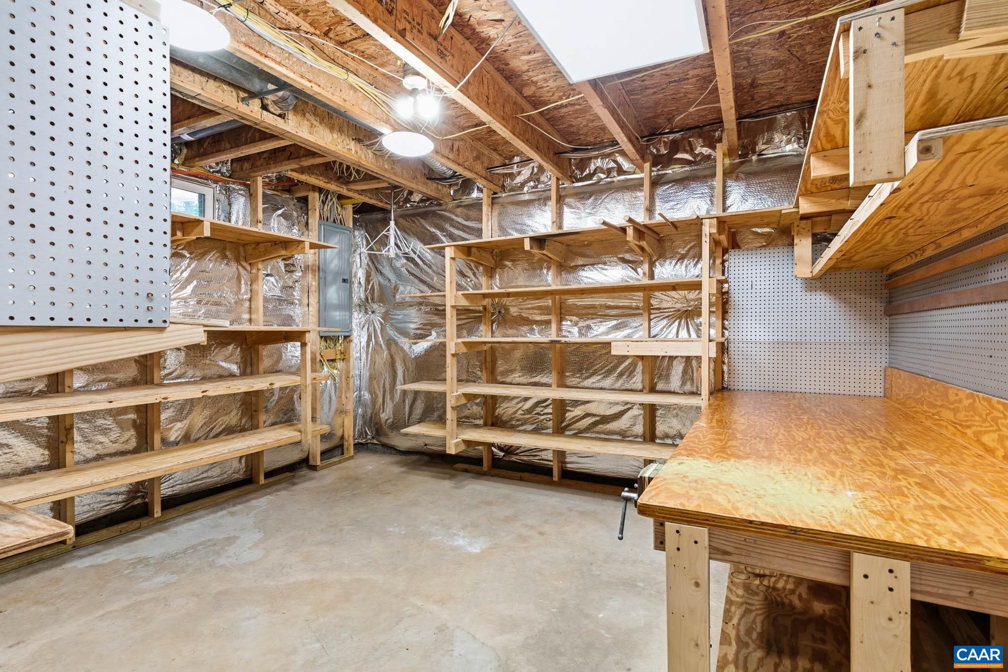 700 Rainier Road Charlottesville, VA 22903 - Photo 33 of 41 Terrace level flex space with built-in shelving perfect for storage or a workshop.