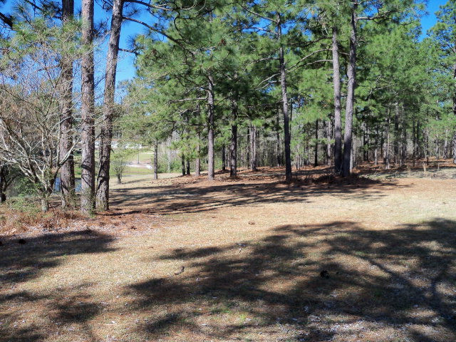 137 Gold Finch Lane Ridge Spring, SC 29129 - Photo 6 of 21