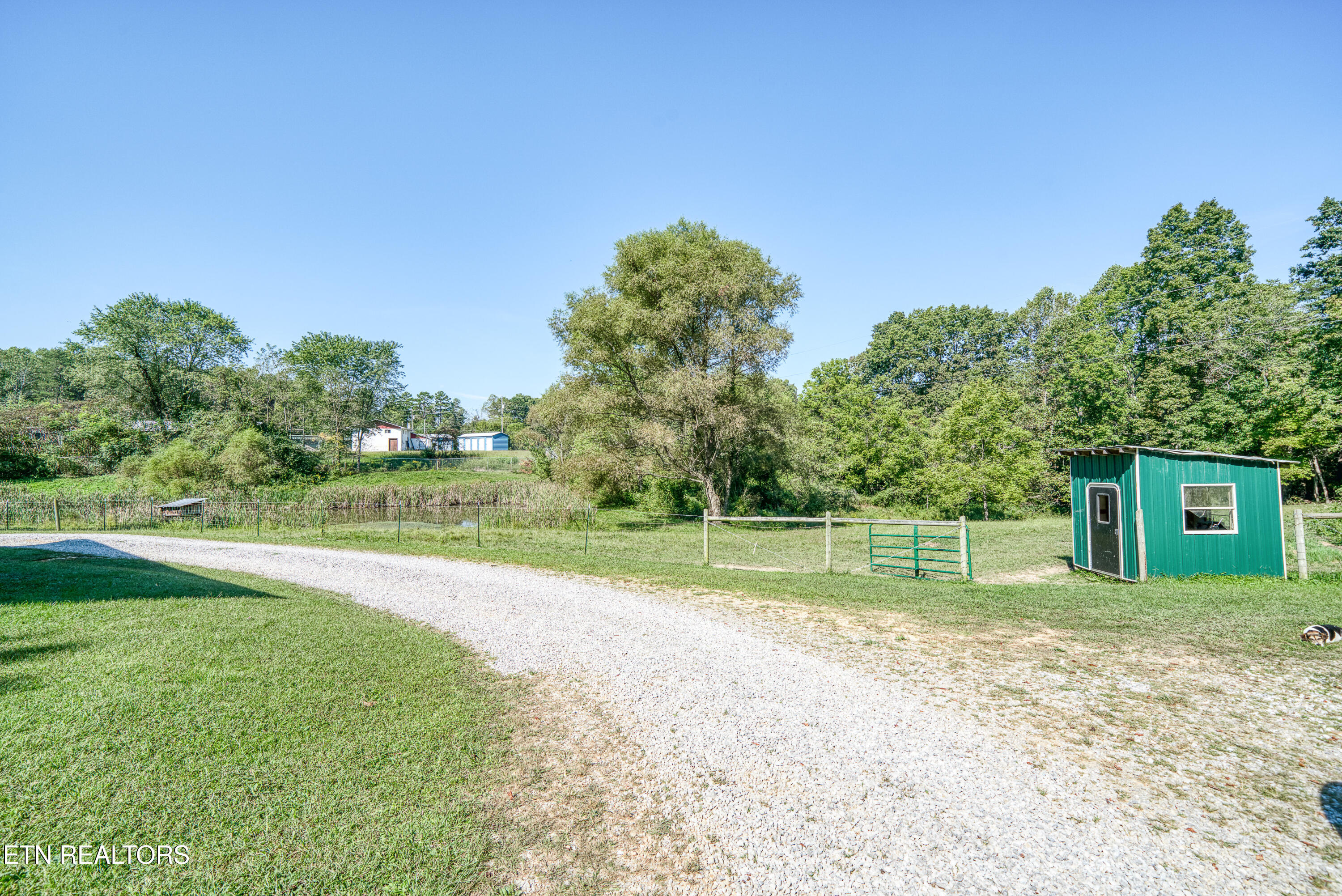 107 Cherry Street Deer Lodge, TN 37726 - Photo 48 of 60 48