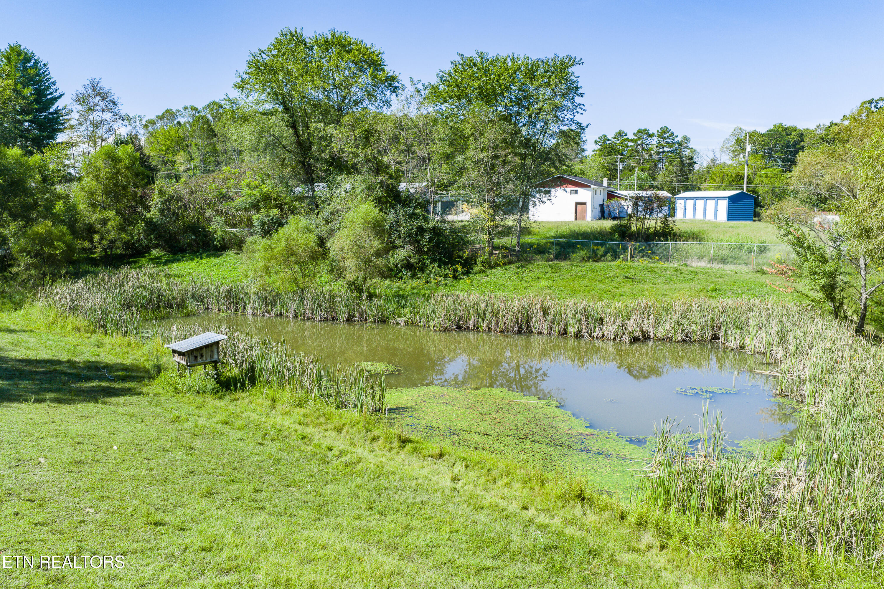 107 Cherry Street Deer Lodge, TN 37726 - Photo 53 of 60 53