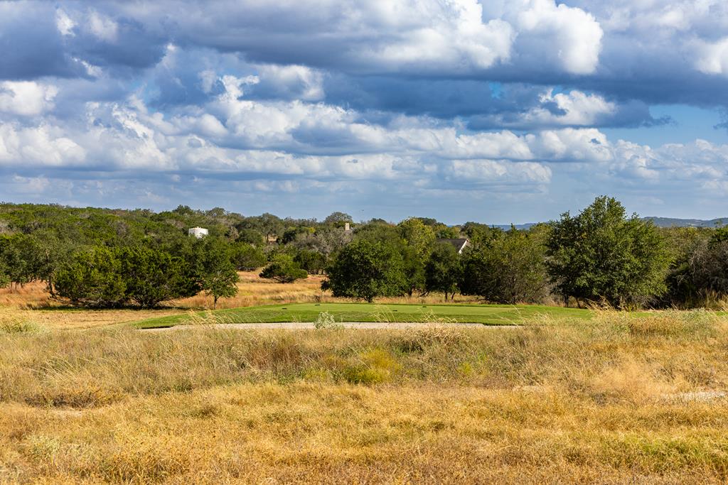 1036 Albatross Way East Kerrville, TX 78028 - Photo 1 of 9 Main View