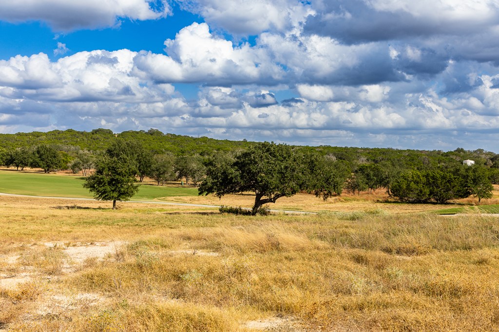 1036 Albatross Way East Kerrville, TX 78028 - Photo 2 of 9