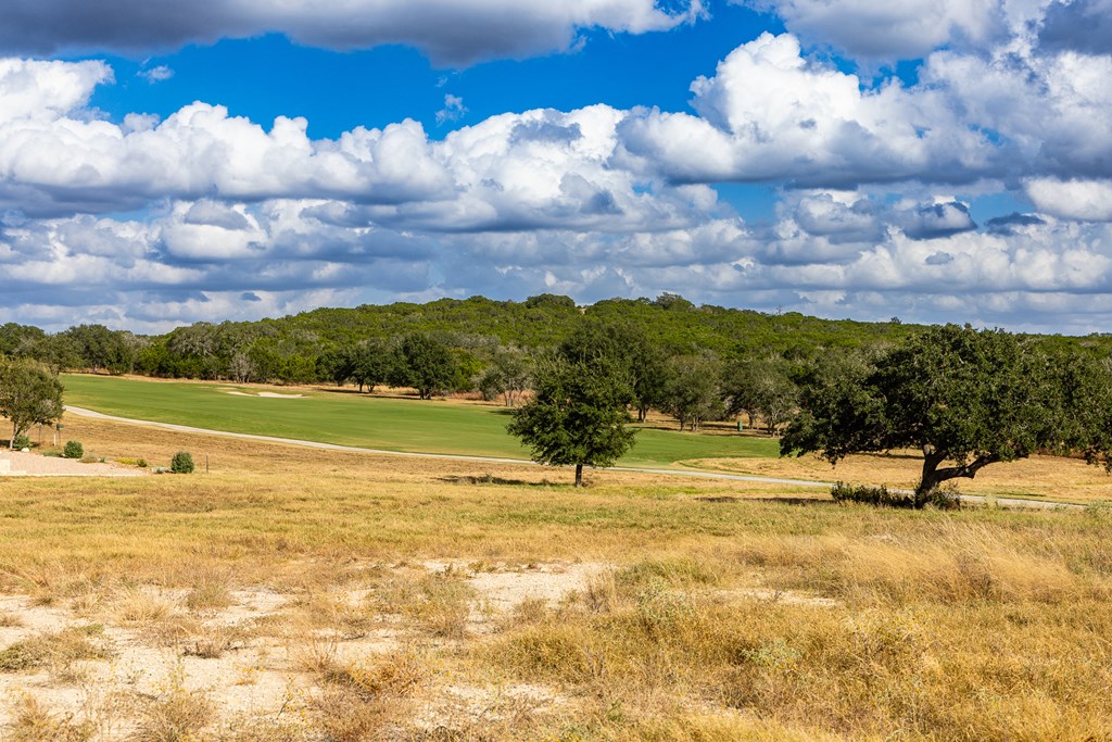 1036 Albatross Way East Kerrville, TX 78028 - Photo 3 of 9