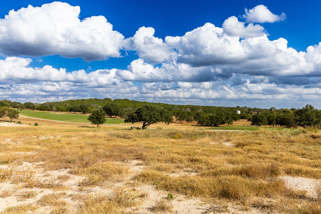 1036 Albatross Way East Kerrville, TX 78028 - Photo 4 of 9